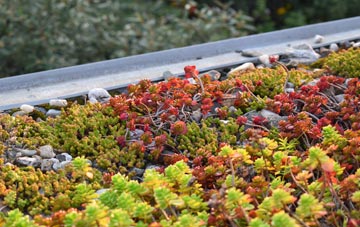the cost of Haughley Green green roof installation