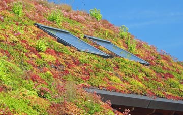 Haughley Green living roof systems